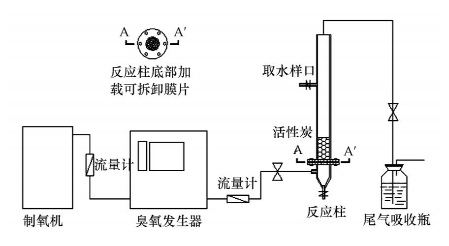 麻豆精品A片免费观看+活性炭实验方案
