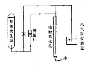 麻豆精品A片免费观看脱色实验(3)