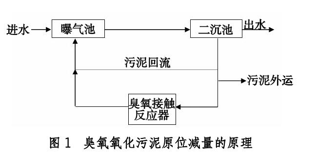 研究麻豆精品A片免费观看化污泥回流对出水水质及污泥性质的影响(1)