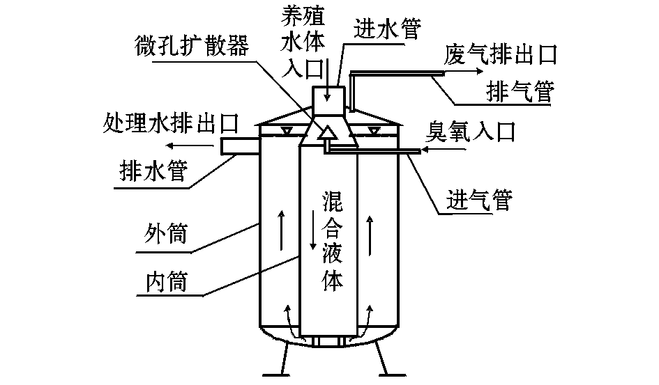 应用于冷水鱼养殖的麻豆精品A片免费观看—氨氮反应塔设计及试验(1)