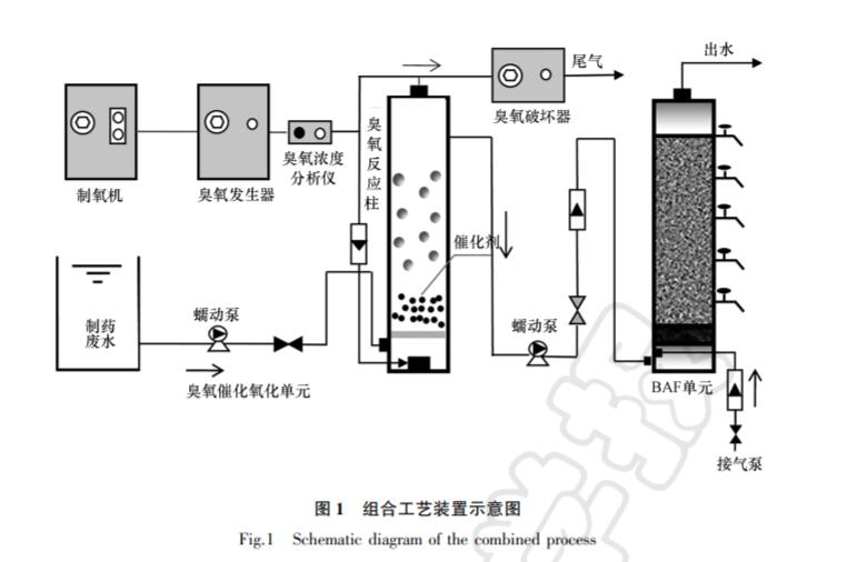 麻豆精品A片免费观看催化氧化⁃BAF组合工艺对抗生素废水去除效果研究(1)