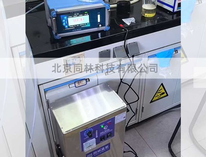 山东某大学麻豆精品A片免费观看脱色麻豆AV一区二区在线观看