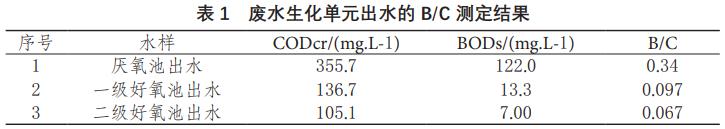 麻豆精品A片免费观看催化氧化去除制药废水中难降解有机物(1)