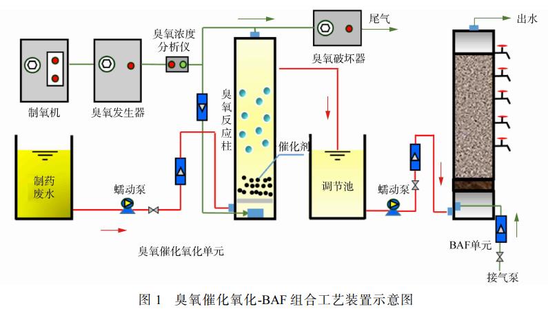 麻豆精品A片免费观看催化氧化-BAF组合工艺深度处理抗生素制药尾水(1)