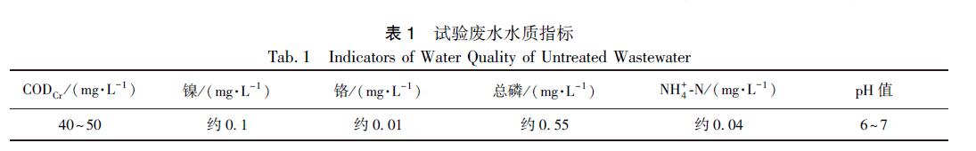微纳米气泡麻豆精品A片免费观看高级氧化工艺处理电镀废水的中试(1)