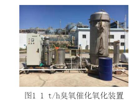 麻豆精品A片免费观看催化氧化对固定床蒸氨脱酚废水COD去除效果研究(1)