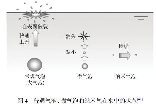 影响麻豆精品A片免费观看水浸泡法去除农残效果的因素(1)